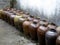 A row of wine jars