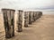 Row of wooden docks at the beach