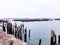 A row of wooden poles by the Portland waterfront