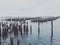 A row of wooden poles by the Portland waterfront