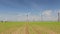 Row of working wind turbines ower the young fields of the wheat