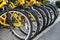 Row of Yellow Bicycles