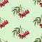 Rowan, autumn rowanberry, watercolor seamless pattern of mountain ash, isolated drawing of leaves and red berries
