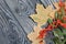 Rowan branch with berries and leaves. Nearby are dried maple leaves. On pine planks painted black and white. Autumn background