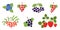 Rowan, currant, mountain ash, viburnum, blueberry, black chokeberry, strawberry, red and black currants. Vector berries set.