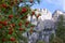 Rowanberry on the tree. Rowan tree on the background of mountain peaks