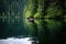 rowboat floating on calm water by a dense forest