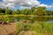 Rowboats docked in small lake at park in Birmingham, England