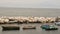 RowBoats in the harbour in Naples Italy