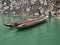 Rowboats at River Shennong Xi