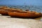 Rowboats on the shore of a lake