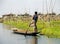 Rower on Inle Lake