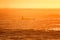 Rower in ocean at sunrise