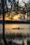 Rower paddling down pond in Payne`s Prairie in Florida