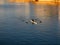 Rower on the river at sunset