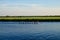 Rowers on a Dutch canal with scenic grass and farmland