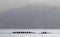 Rowers on row boat, Annecy lake, france