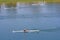 Rowers in a rowing boat