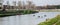 Rowers in training on the Arno river