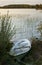 Rowing boat moored by lake