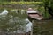 Rowing boat on placid river; small rowboat moored on riverbank