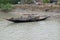 Rowing boat in the swampy areas of the Sundarbans, India