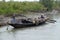 Rowing boat in the swampy areas of the Sundarbans, India