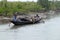 Rowing boat in the swampy areas of the Sundarbans, India