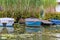 Rowing boats Berlin KÃ¶penick MÃ¼ggelsee