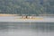 Rowing on the lake