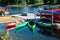 Rowing sports club, kayak and boat, outdoor canoeing activity on the river