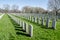 Rows of anonymous military headstones