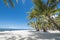 Rows of beautiful coconut palm trees near the white sand coast. At Dumaluan Beach, Panglao Island, Bohol, Philippines