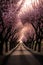 rows of beautiful pink flowers trees to start spring season. AI Generated