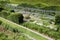 Rows of beautifully designed hedges