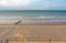 Rows of blue and white parasols and sunbeds on the beach. Italy