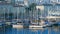 Rows of boats in marina in adriatic sea bay harbor in Pula, Croatia in summer