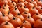 Rows of bright orange pumpkins, background