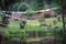 Rows of Buddhist Prayer flags over the lake