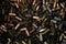 Rows of bullet. Bullets Background. Trade In Weapons - Bullets Background