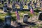 Rows of Civil War soldiers` gravestones tombstones with flags in cemetery