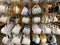 Rows of colorful coffee cups at a Cost Plus World Market retail store in Orlando, Florida