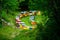 Rows of colourful wooden bee hives in forest meadow clearing