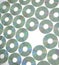 Rows of compact disks