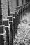 Rows of concrete crosses on cemetery