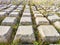 Rows of concrete cubes or rectangles on the bank of a river with grass. Breakwaters, protection from water in nature