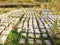 Rows of concrete cubes or rectangles on the bank of a river with grass. Breakwaters, protection from water in nature