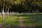 Rows of crosses in a graveyard