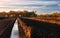 Rows of cutted peat in Northwestern Germany