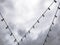 Rows of Decorative Light Bulbs Hanging on Electric Cables Against Dark Cloudy Sky